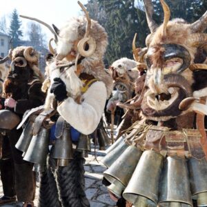 Старчевата