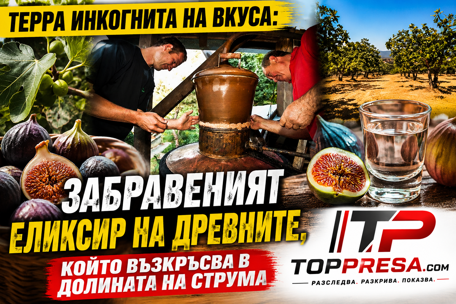 http://Мониторинг%20на%20отзивите%20за%20Огняново.%20Положителни%2076%20процента,%20отрицателни%2024%20процента