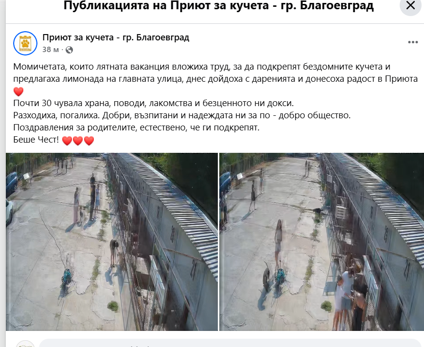 Браво, деца! Момичета от Благоевград превърнаха лятото си в кауза за бездомните кучета
