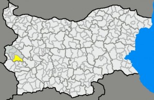 община радомир