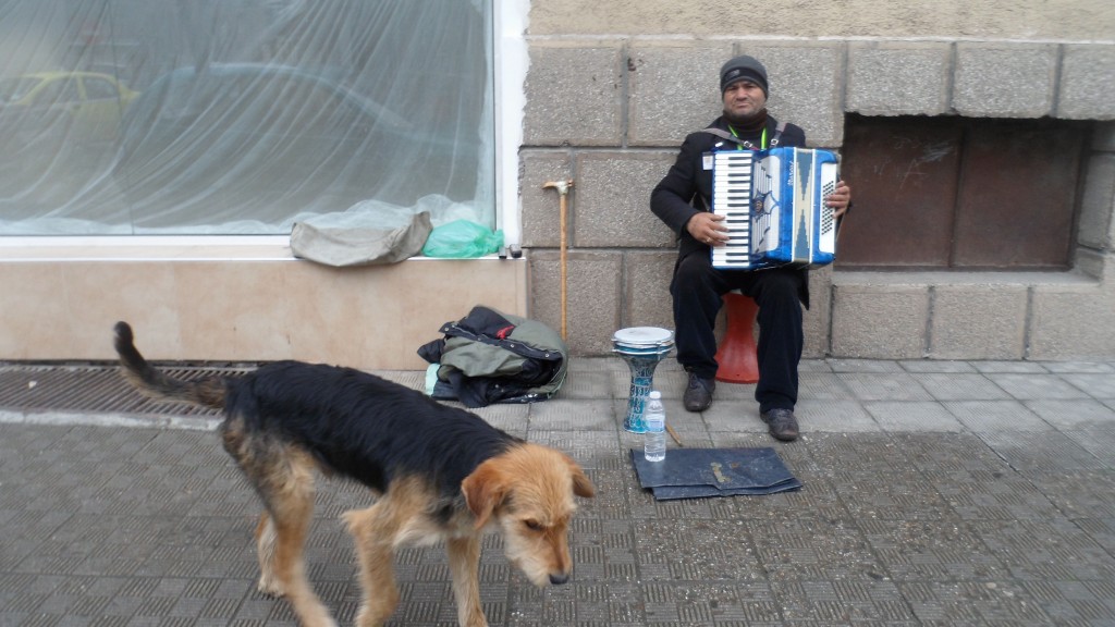 Бай Владо - уличния свирач на  Г. Делчев често се страхува от бездомните кучета