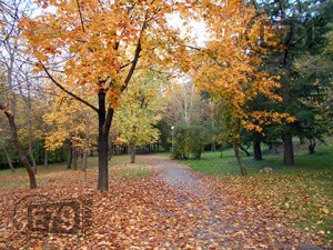 106151-esen-autumn-blagoevgrad