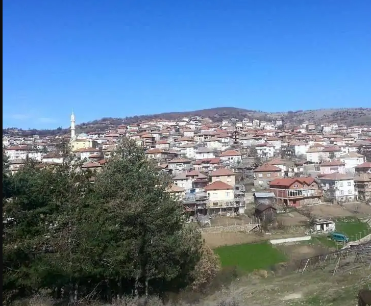 село Годешево